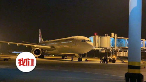 万米高空的惊险一刻 东航航班急降备降背后，航空安全与故障应急的深度解析